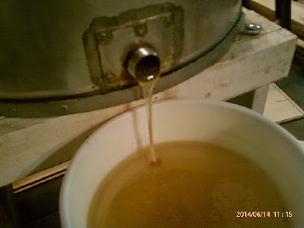 Meramec Valley Honey