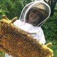 Queen Bri's Honey | Bee Removal | Raw, Local Honey For Sale | Beekeeping Classes in OKC