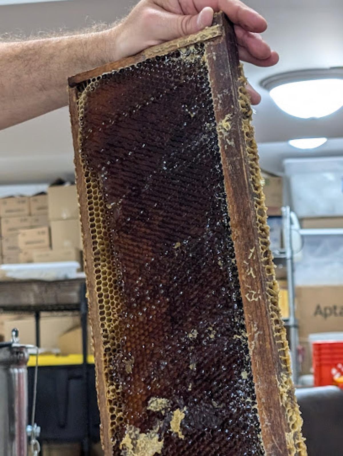 Honeysuckle Acres Farms Honey