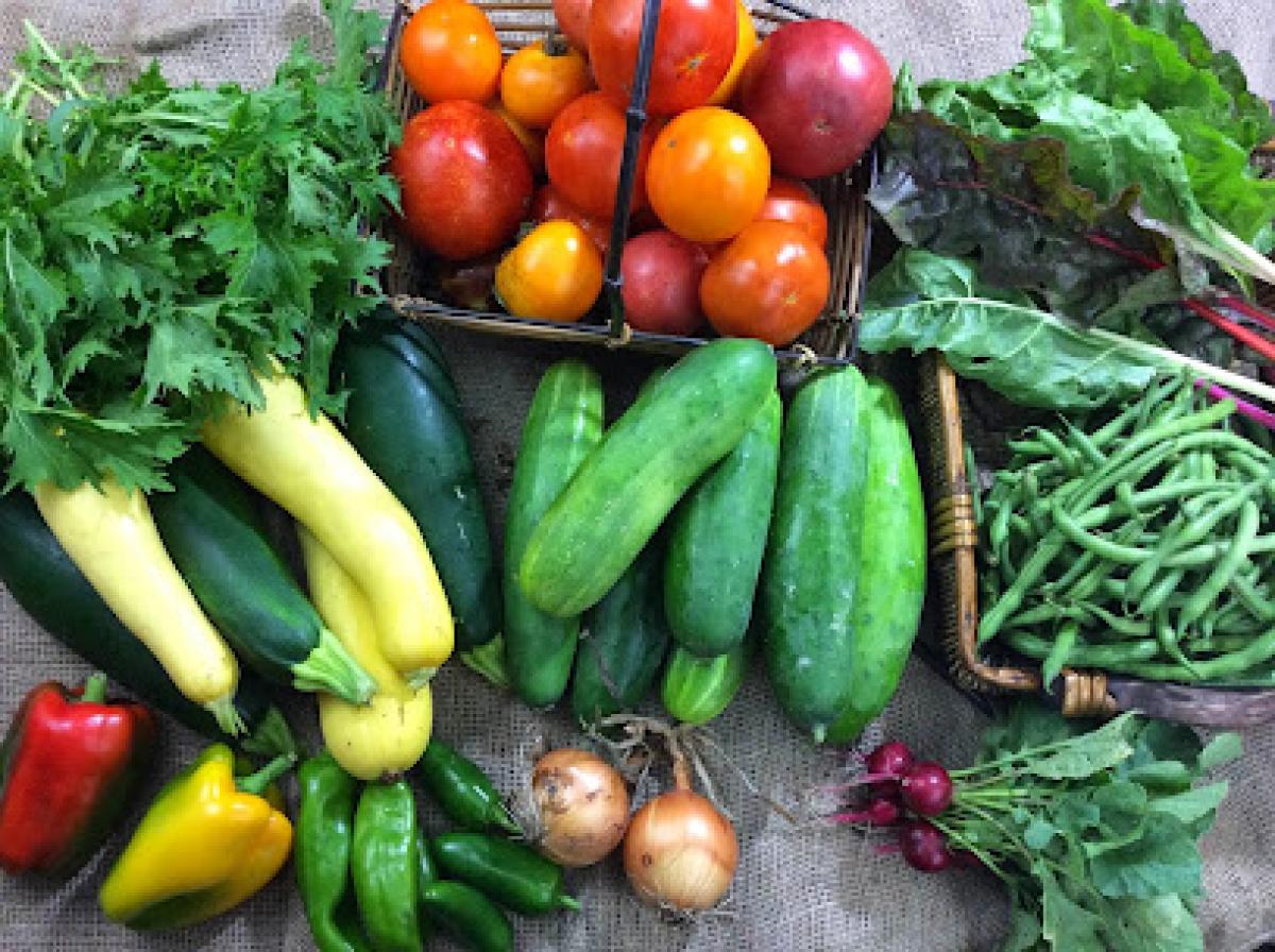 Where the Redfearn Grows Natural Farms