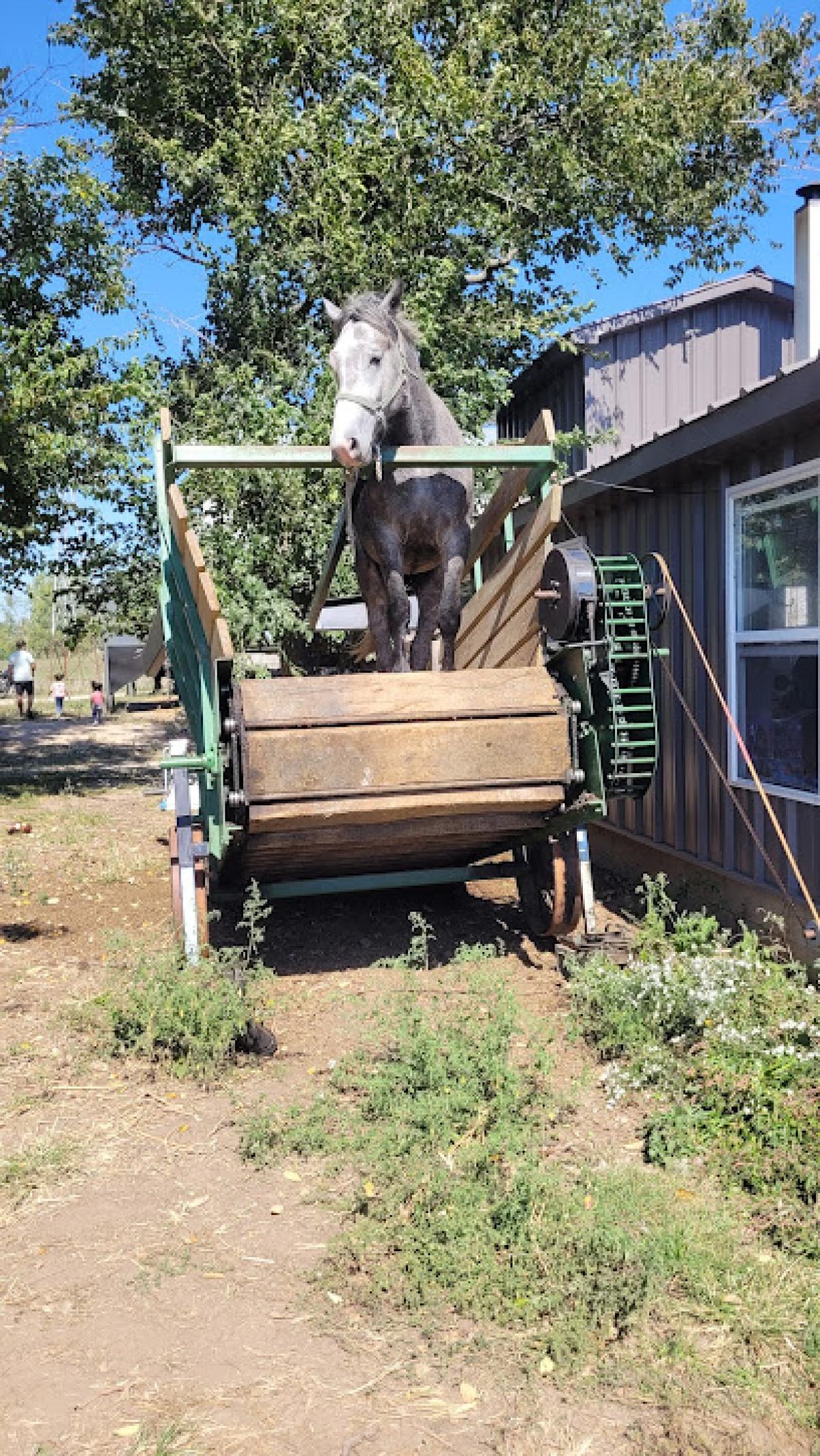 Cedar Creek Farm herkes