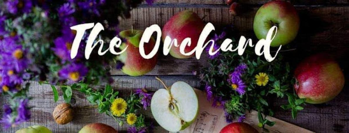 The Orchard