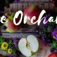 The Orchard