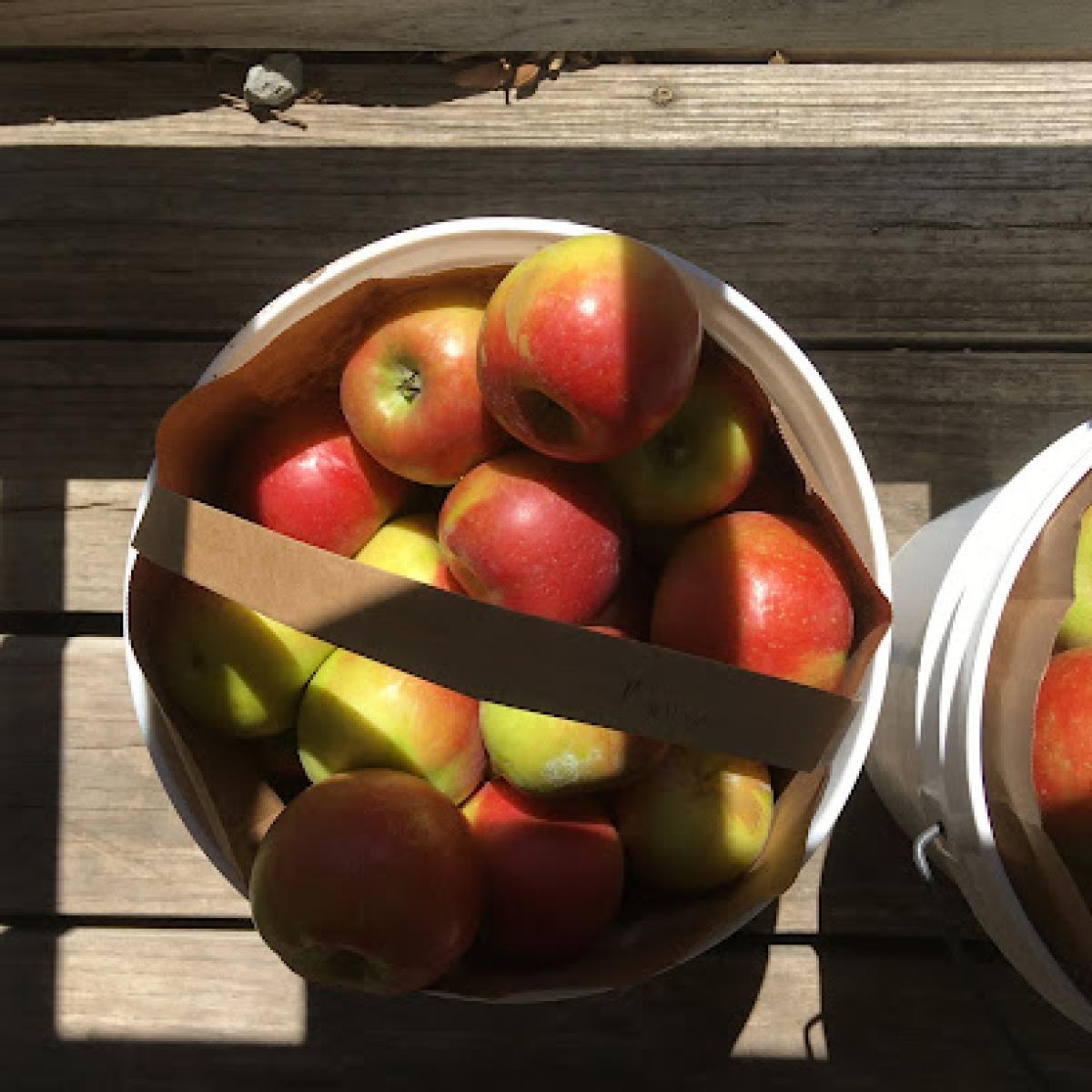 Meadowlark Farm Orchard & Cidery