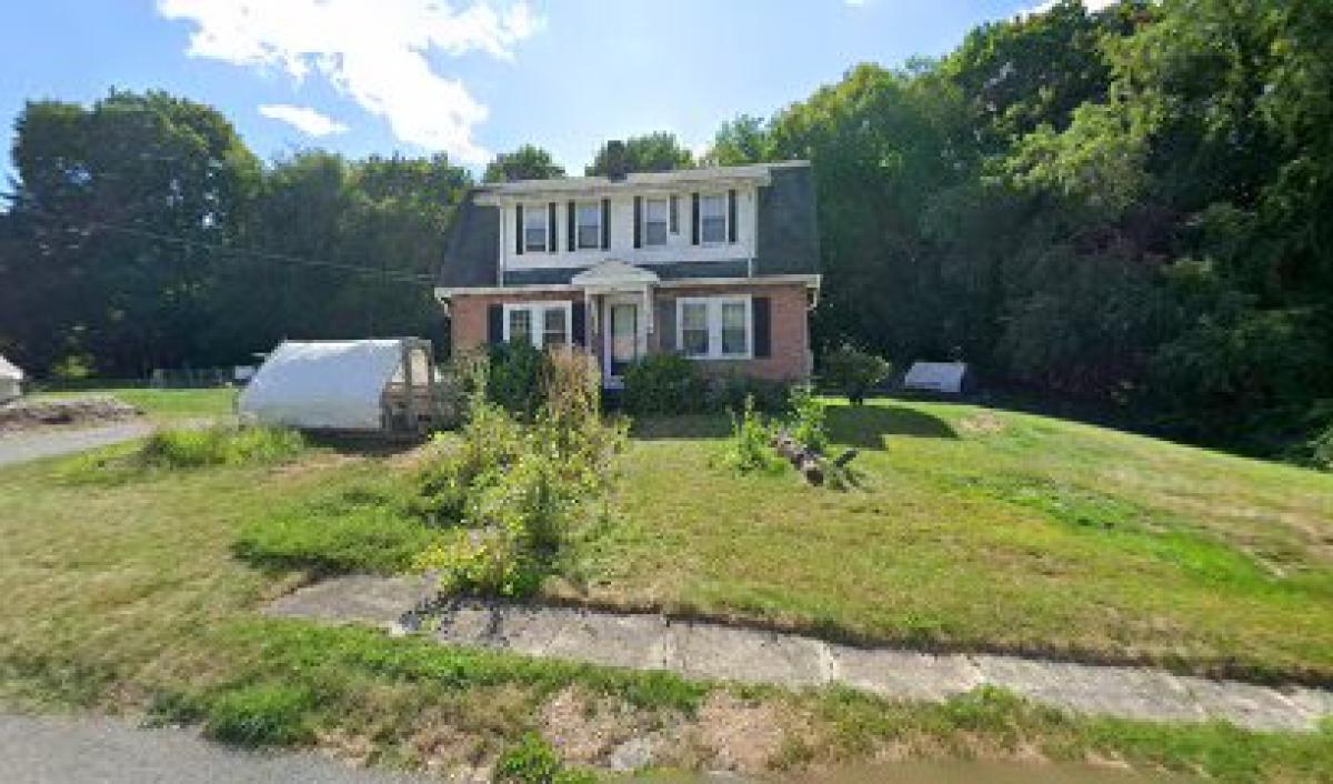 Lindsay's Local – Organic Microgreens, organic fresh baked goods (to order) local raw honey, pastured raised eggs.