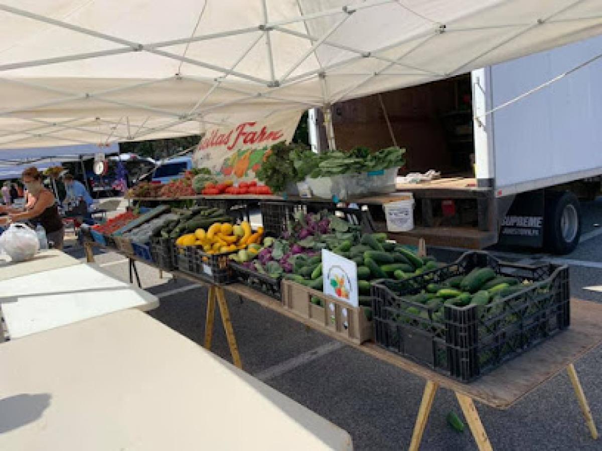 Weymouth Farmers Market