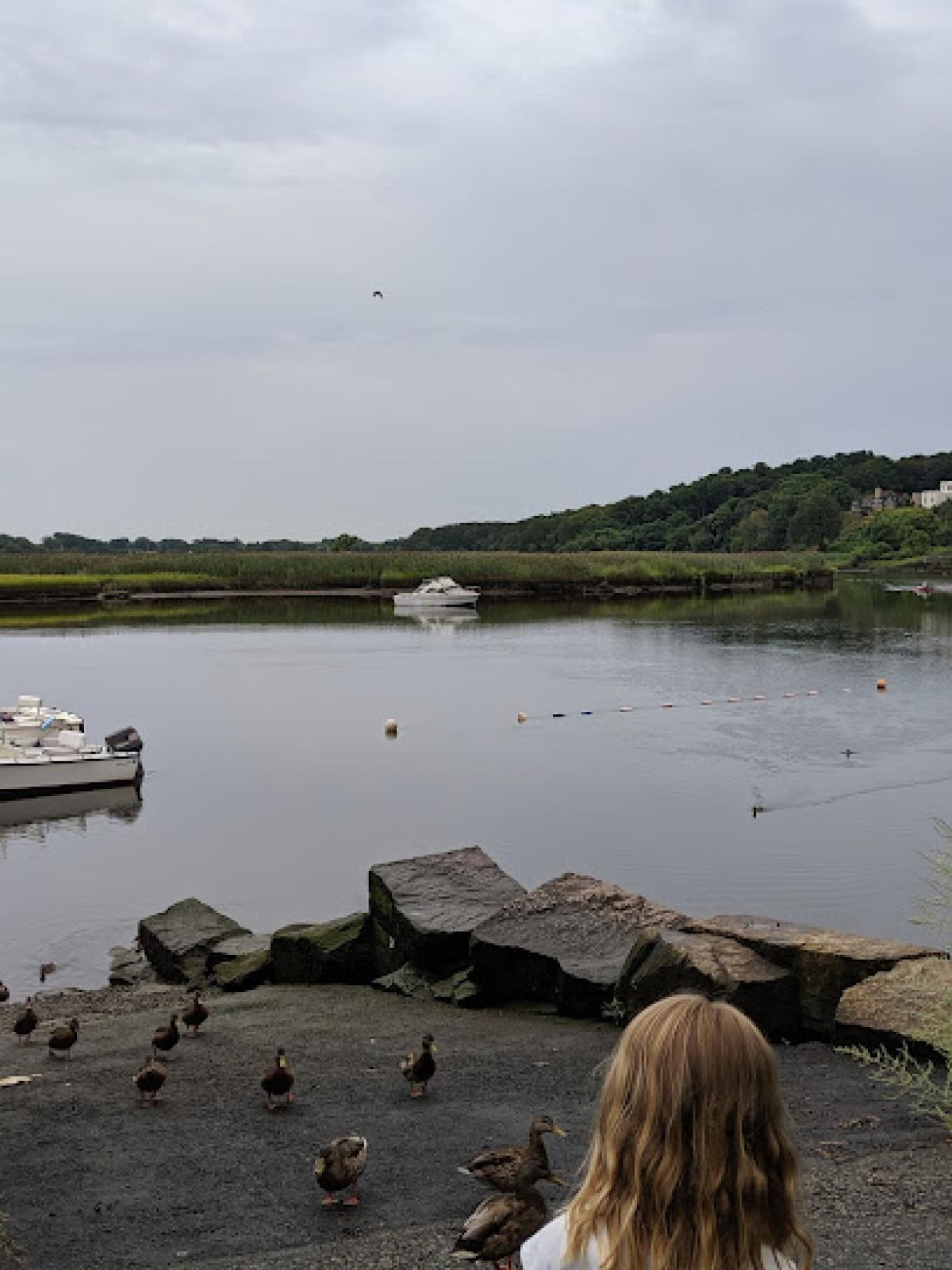 Milton Farmers Market
