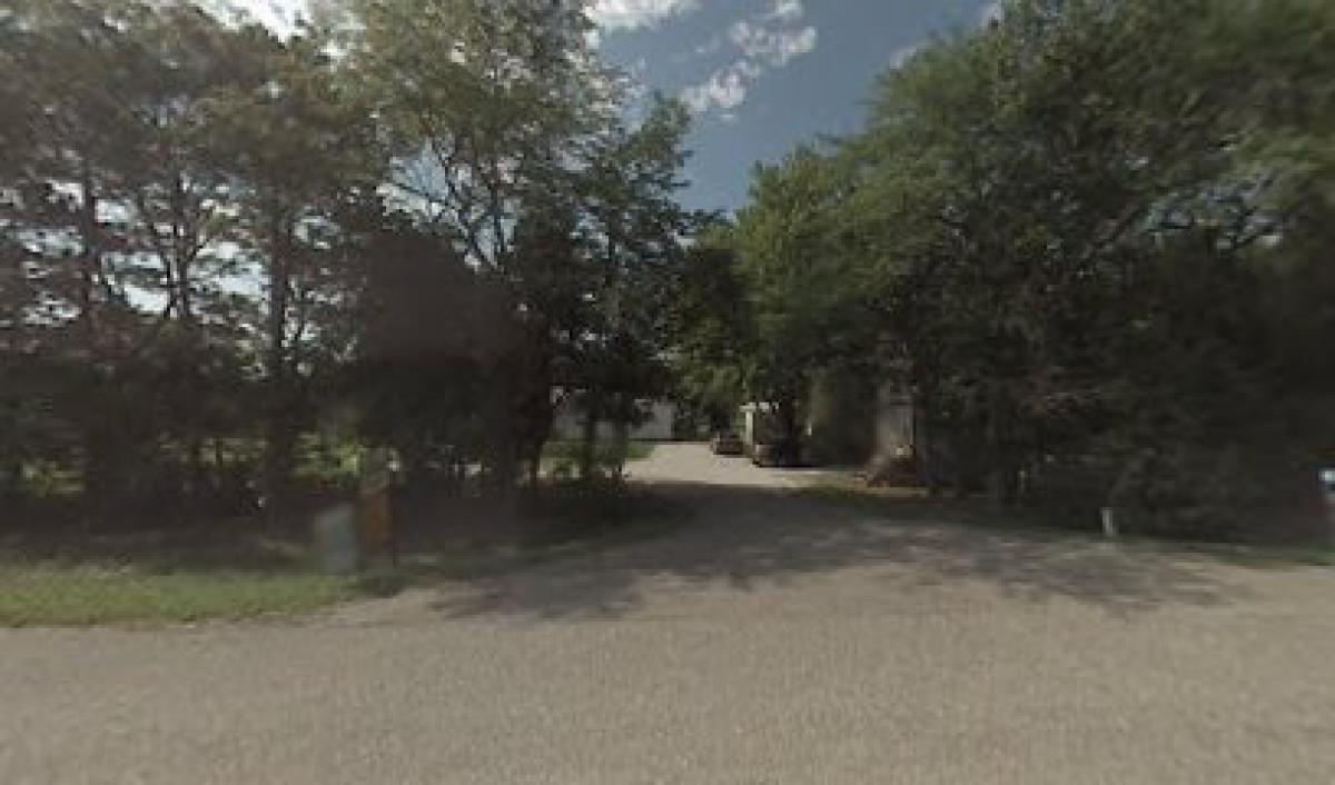 Charlie Bees - Honey Bee World