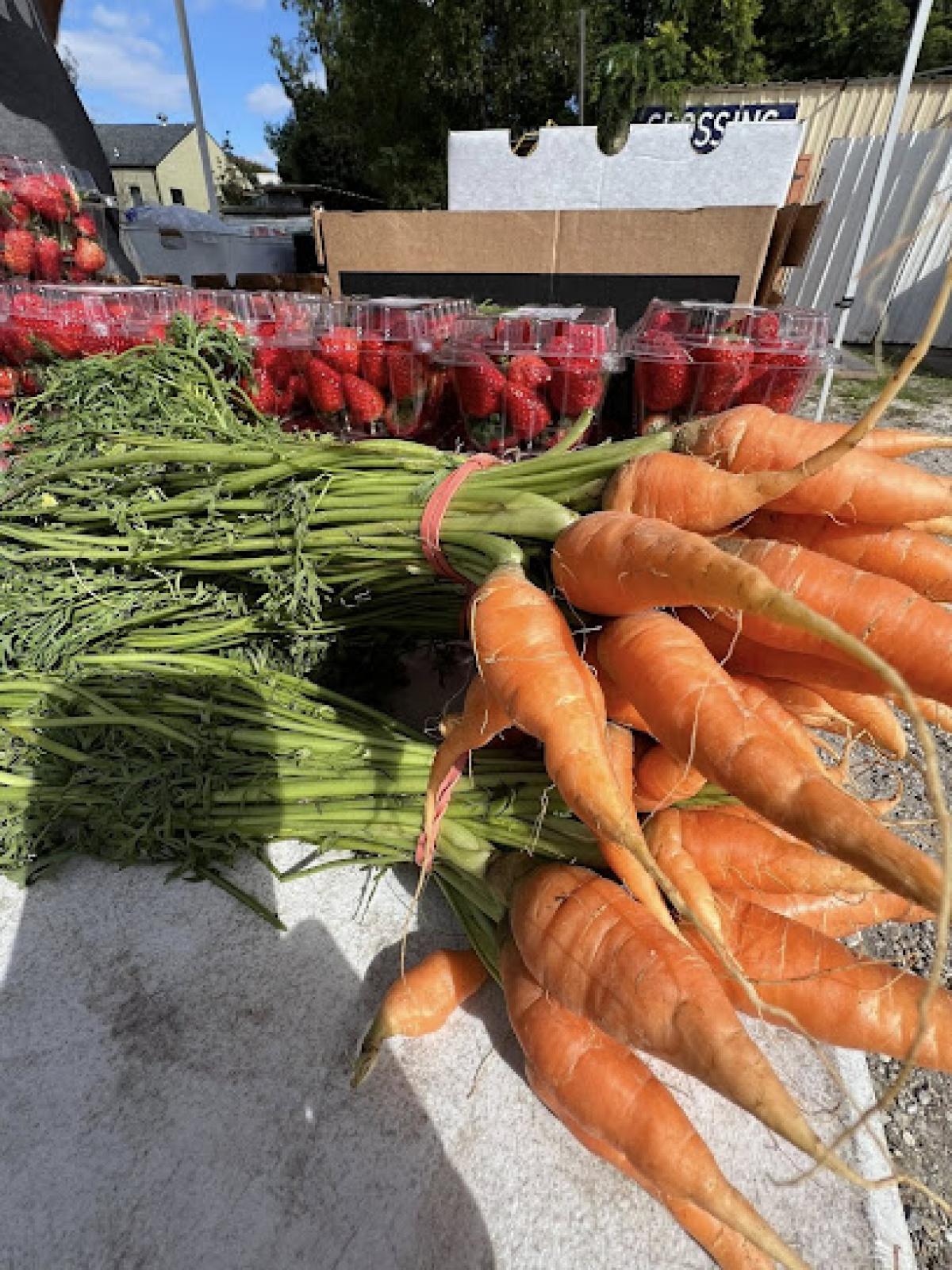 Bounyful Green Market