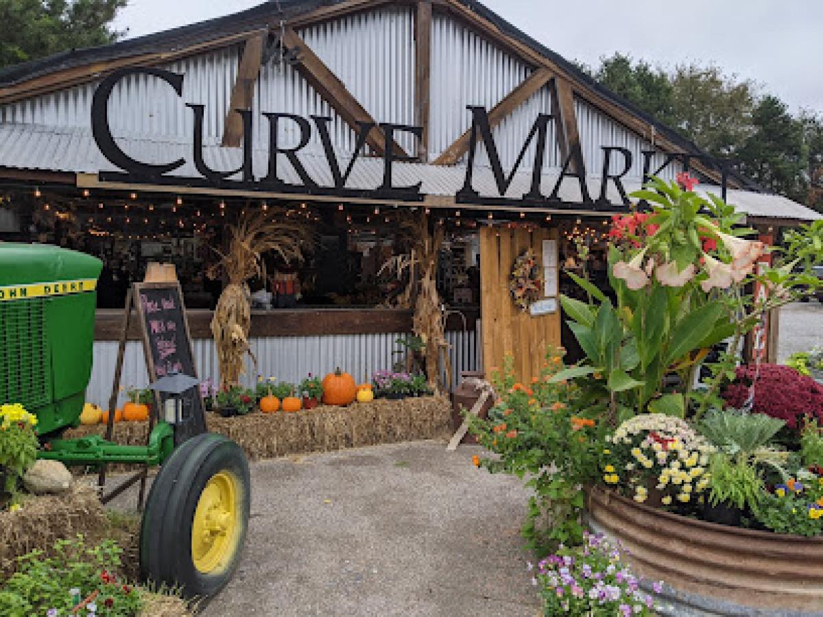 The Curve Market