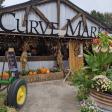 The Curve Market