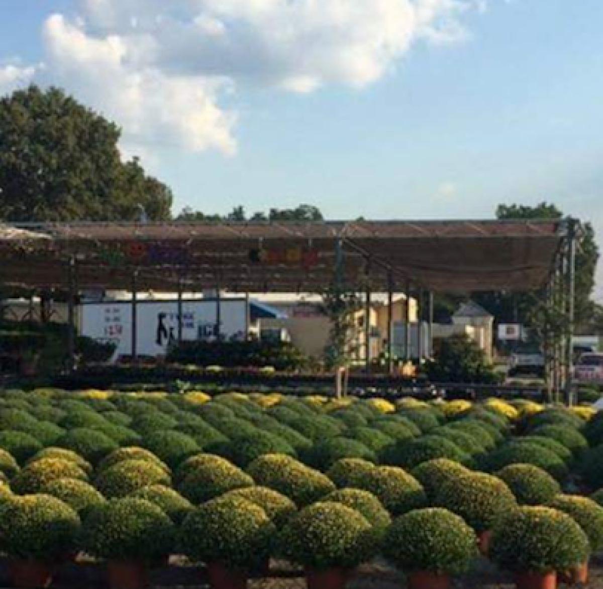 Worley's Lawn & Garden Center