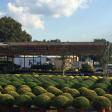 Worley's Lawn & Garden Center