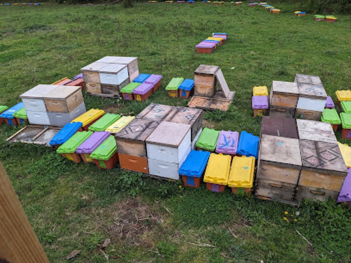 Good Bee Farms, LLC.