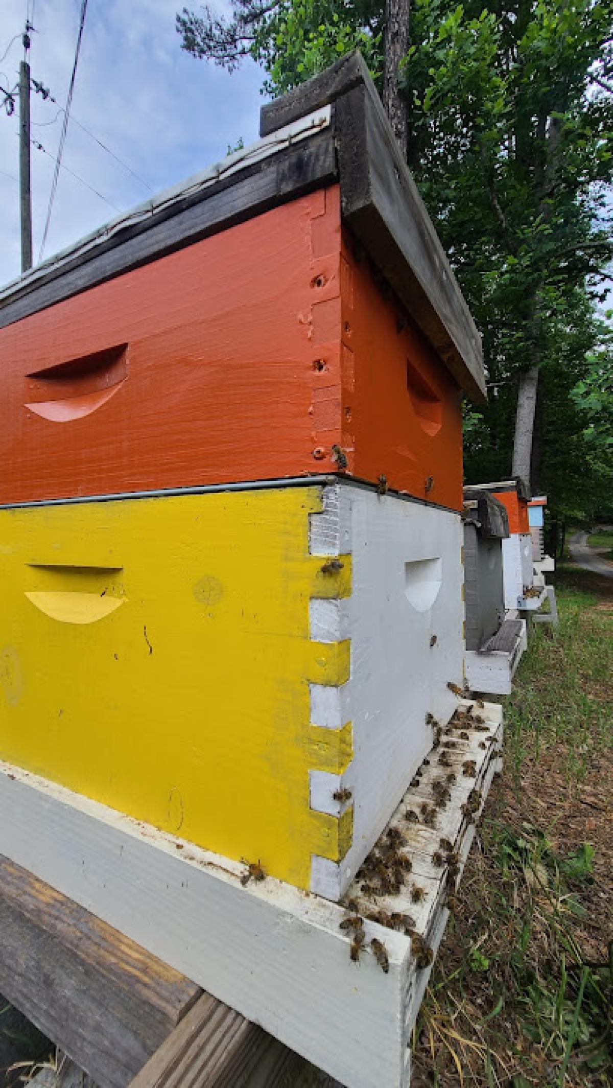 Milton Honey Farm Roadside Stand