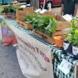 Choctaw Creek Farmers Market