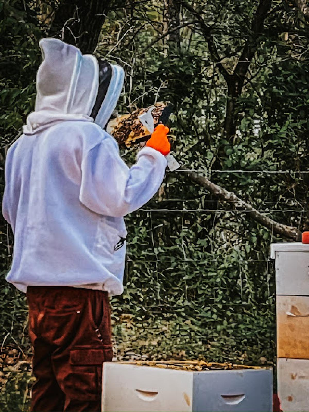 Honeysuckle and Hive - Tuttle, OK