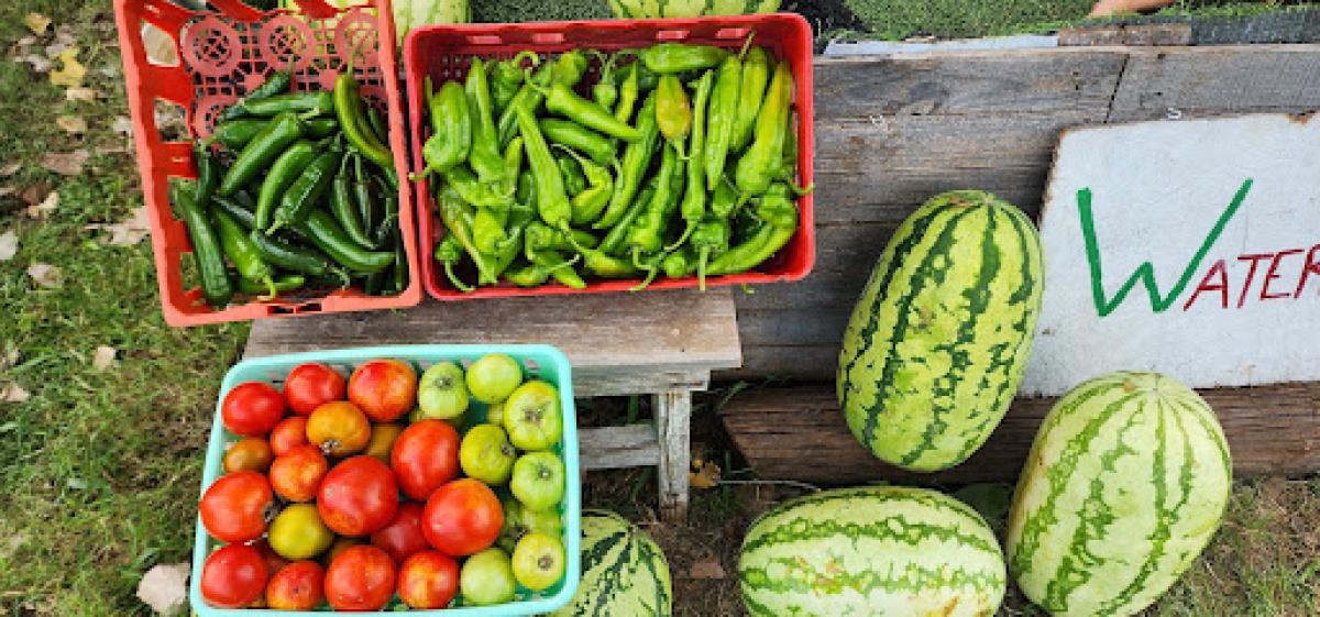 Sherman's Family Produce