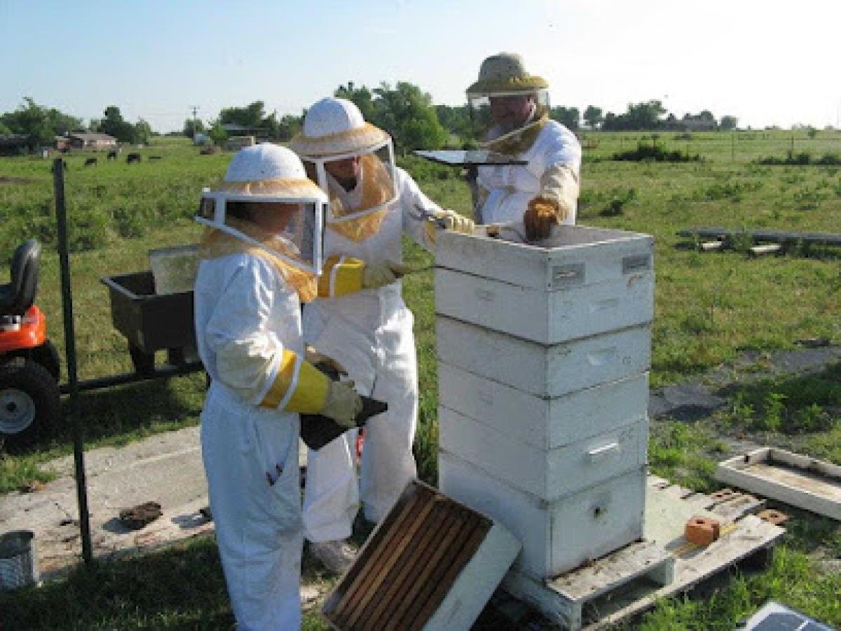 Little Creek Bee Ranch