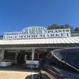Graham's Edgewood Market Plants