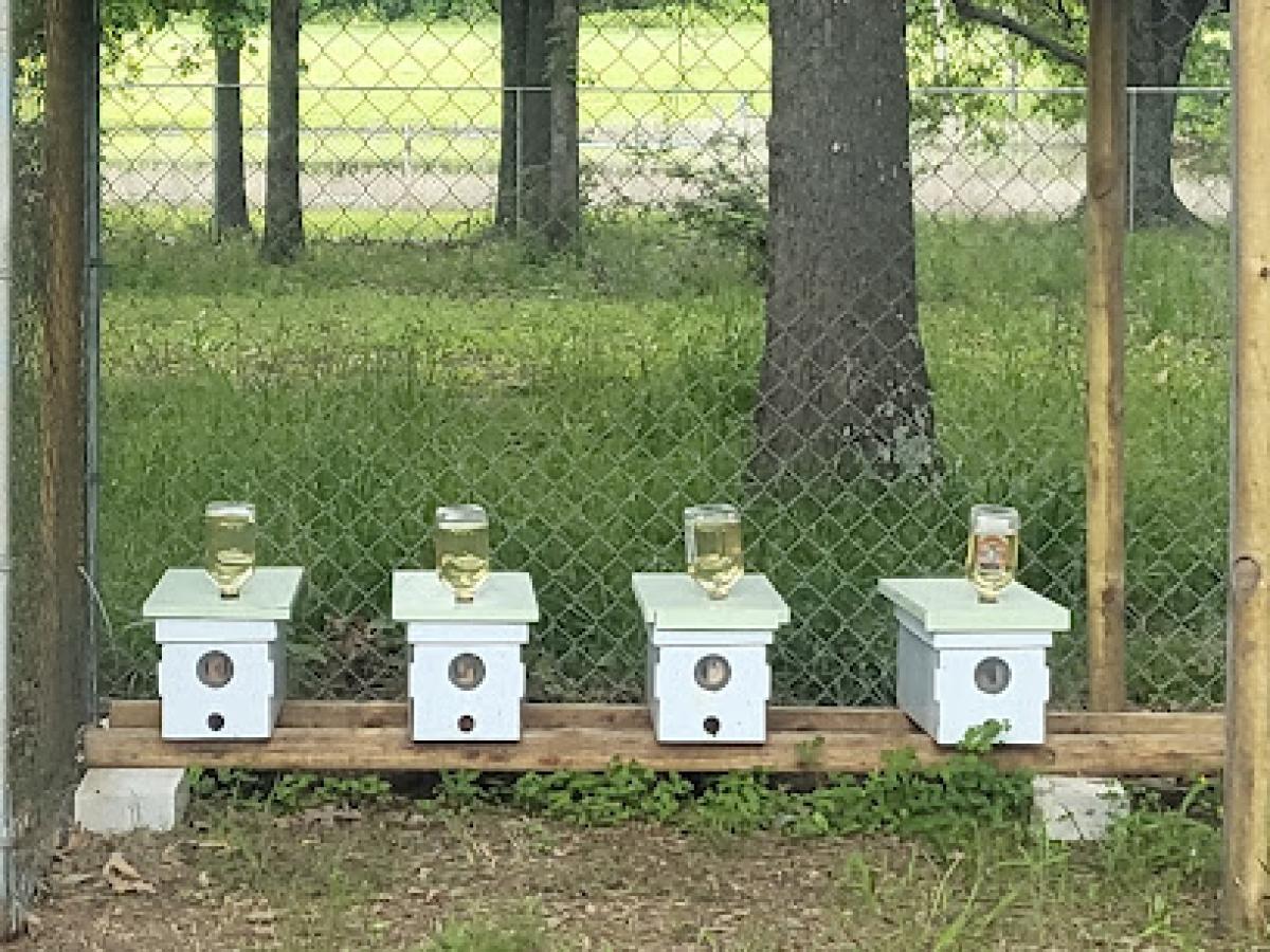 Heavenly Harvest Apiary & Bee Supply