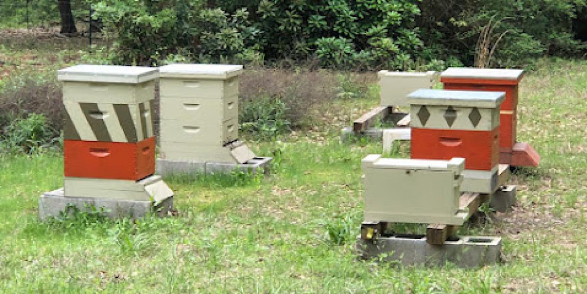 Laughing Flowers Farm