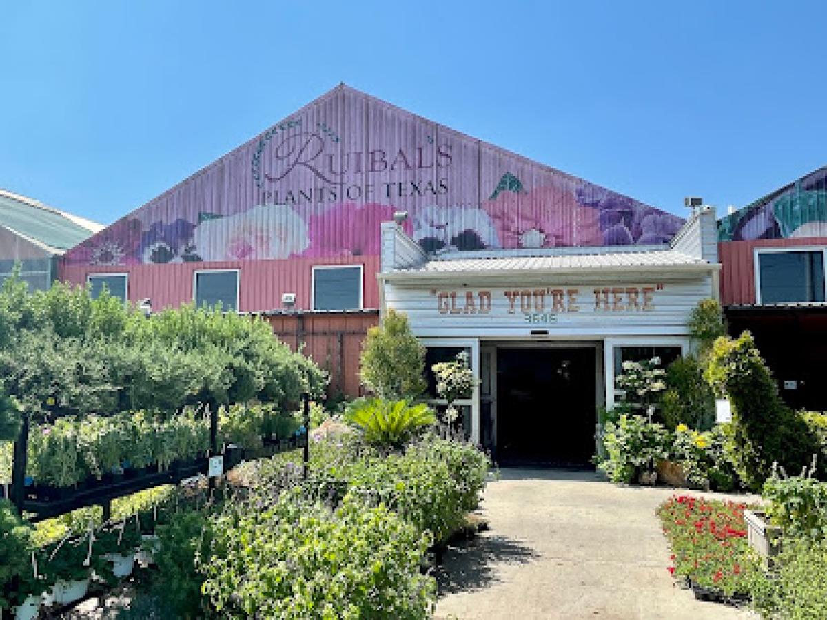 Ruibal's Plants of Texas - Rosemeade