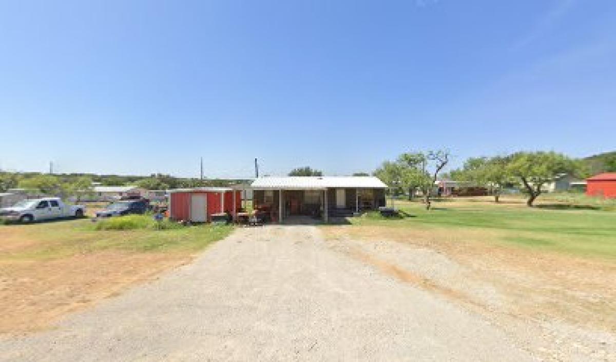 DB’s Honey Bee’s