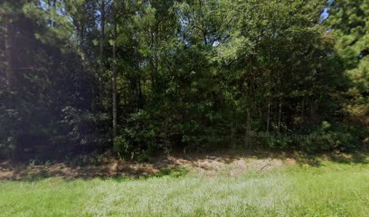 Applewood Farms Pheasant, Bees, Honey and Wood