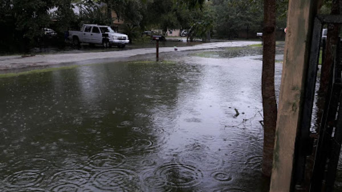 Whittington Bee Farms