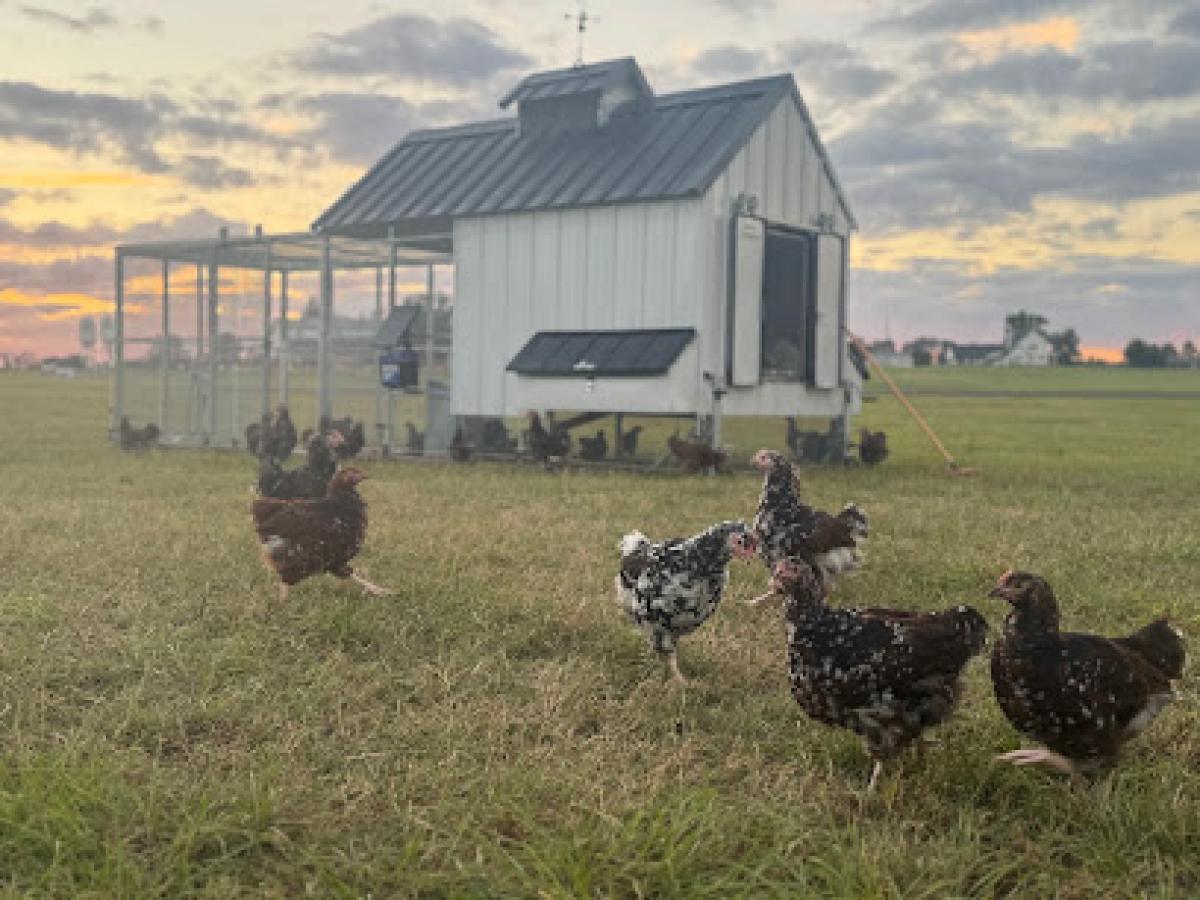 Rise and Shine Hills