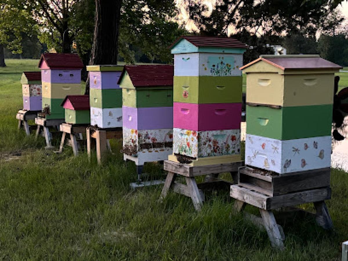 Piney Creek Apiary