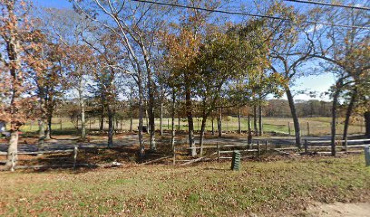 Ginny Bee Honey Farms