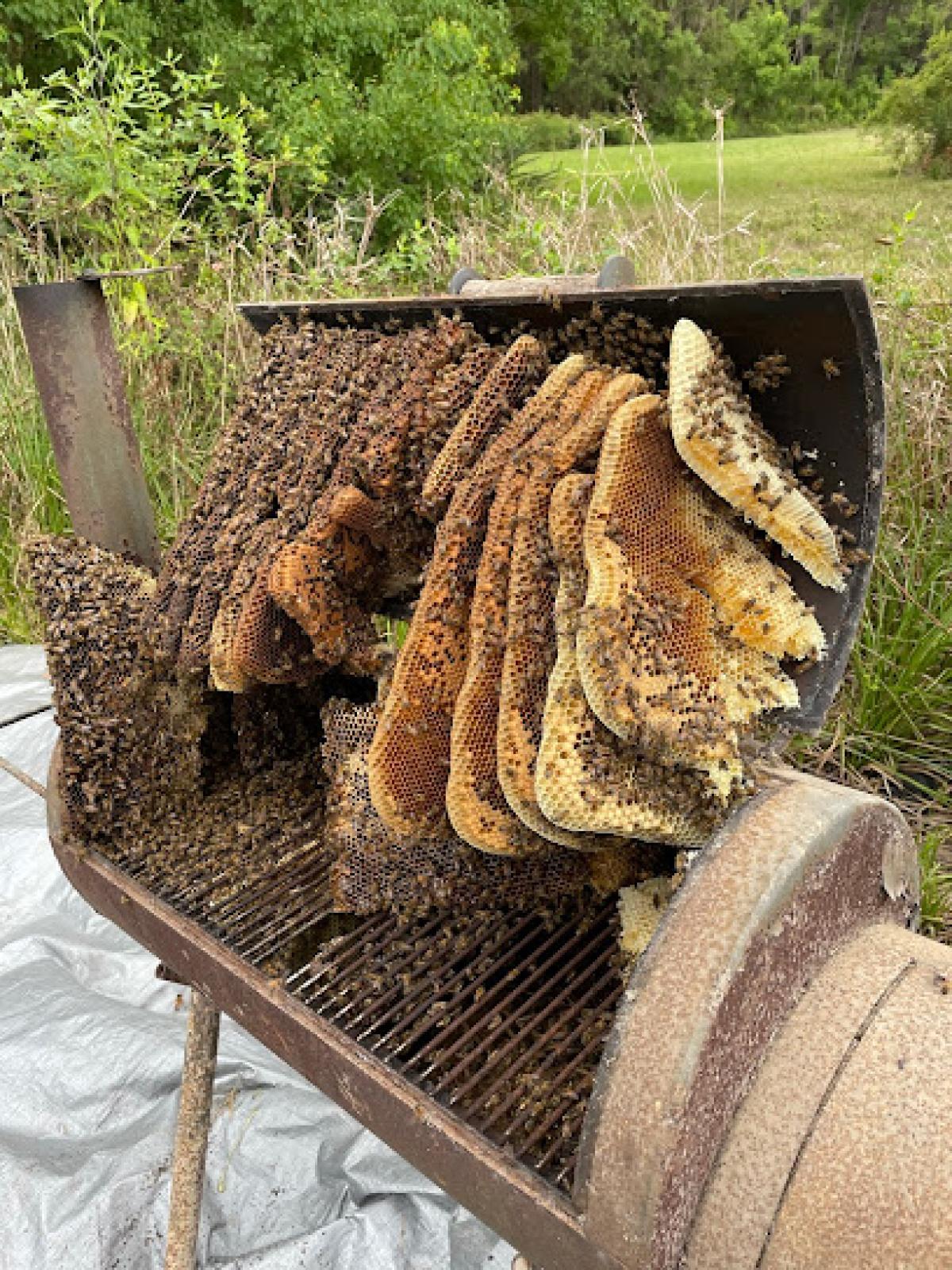 Bee Ez Apiary