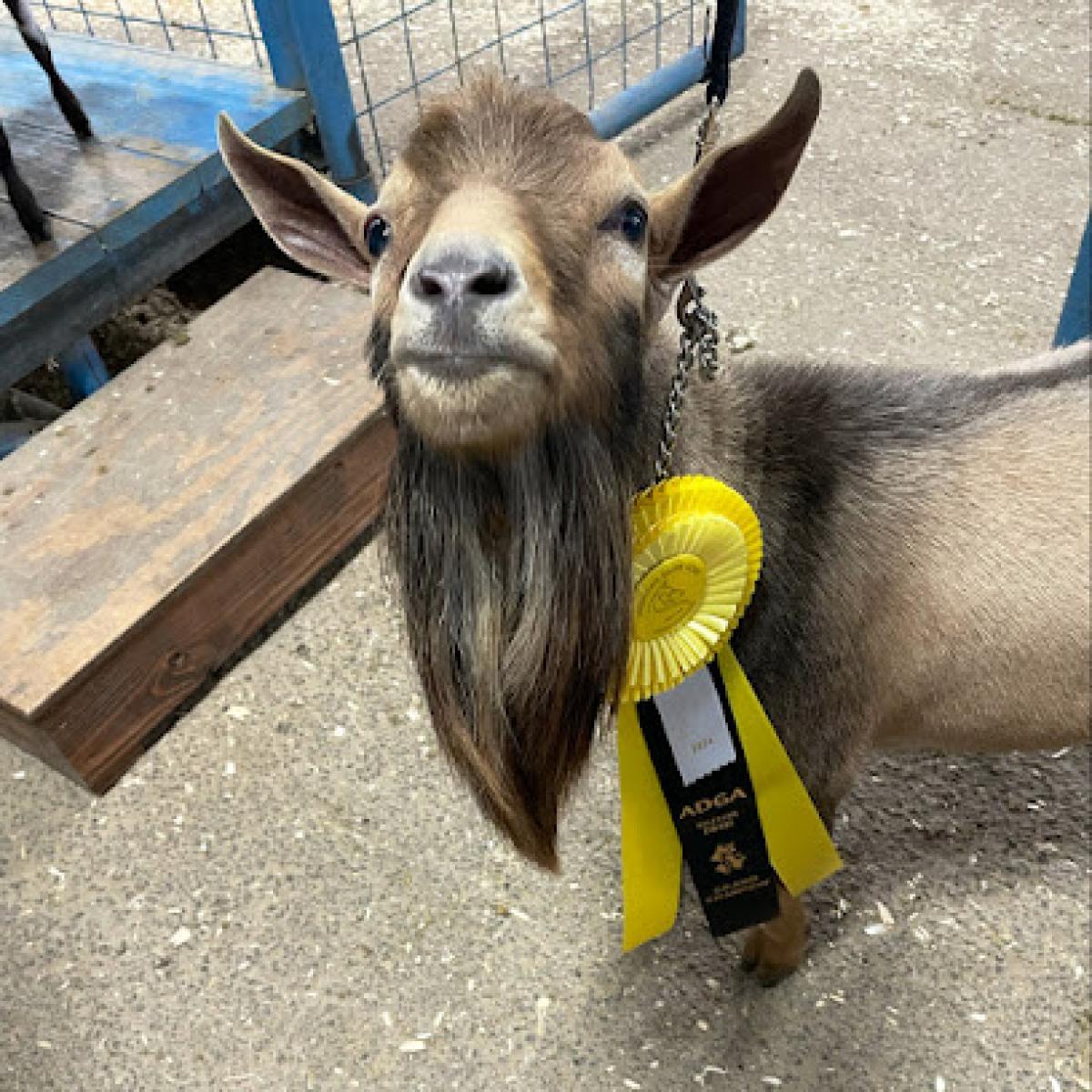 Meyers Family Farm TX