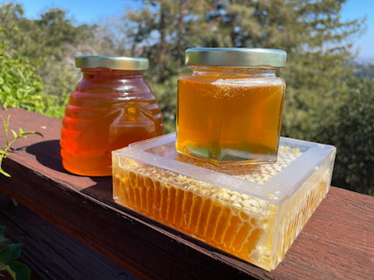 Honey by the Bay