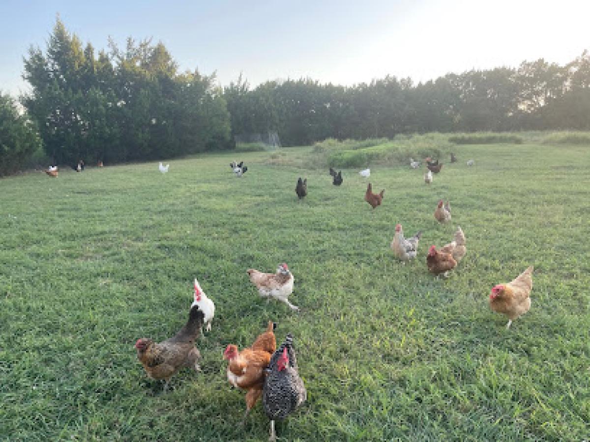 The 75 Oaks - Family Farm