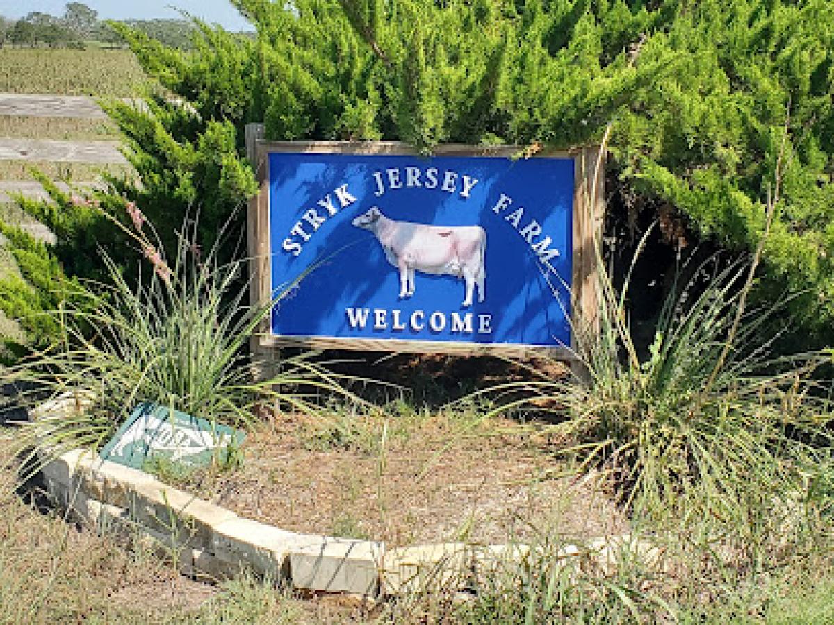 Stryk Jersey Farm