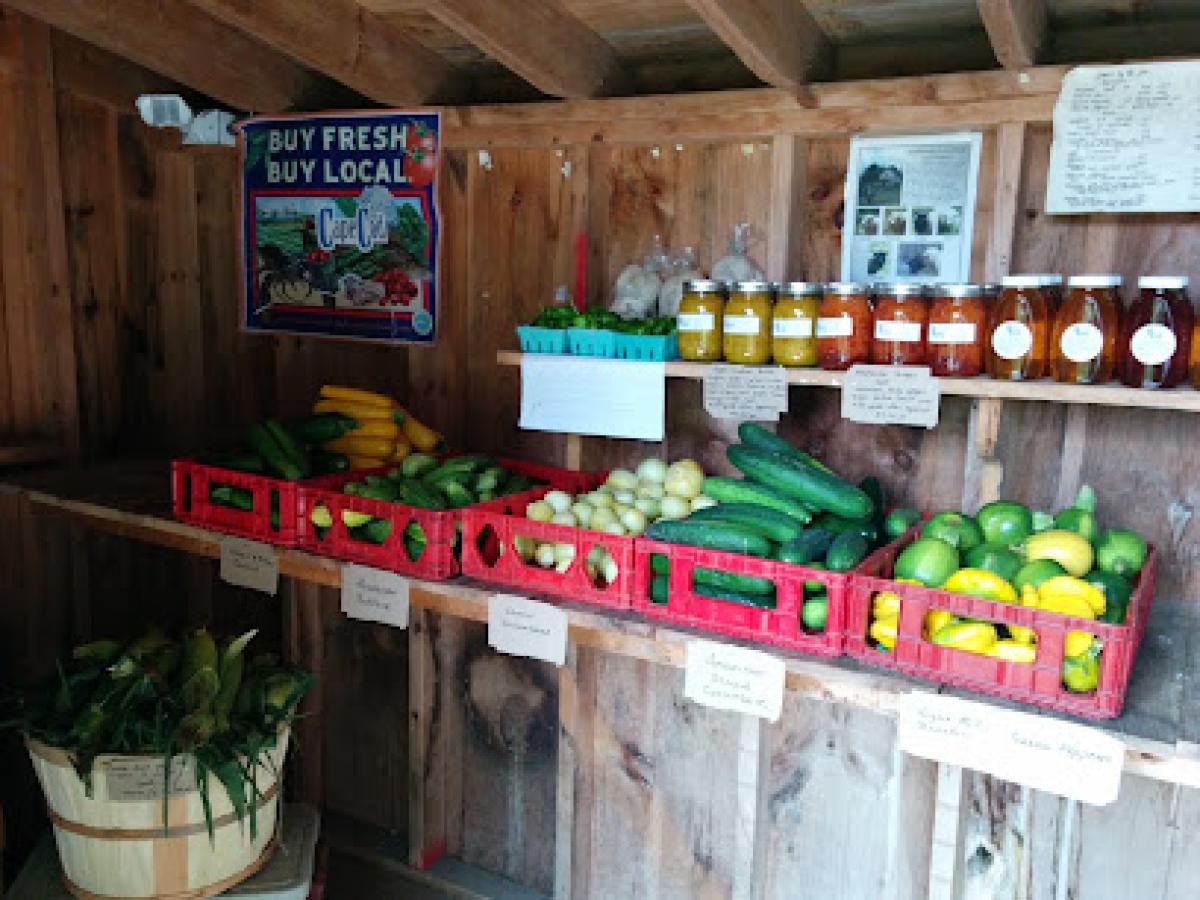 Not Enough Acres Farm