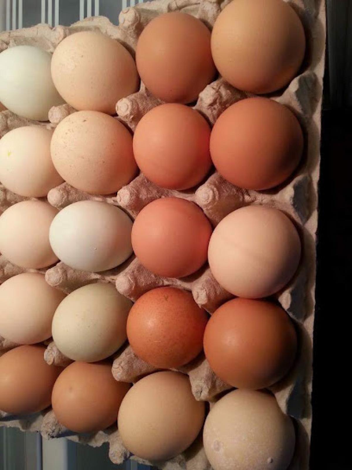 Juicy Lucy's Veggies