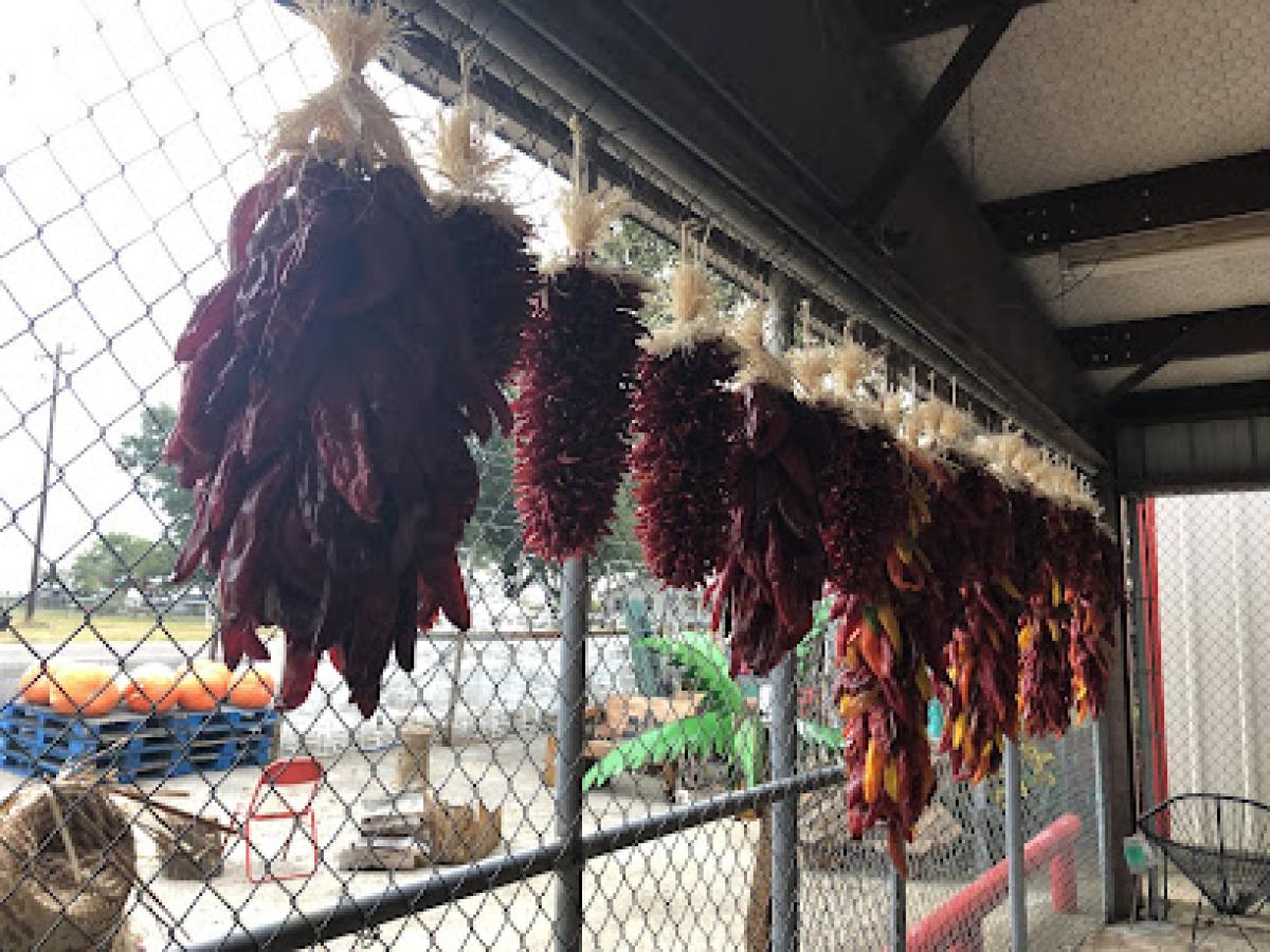 Lake Tyler Farmers Market