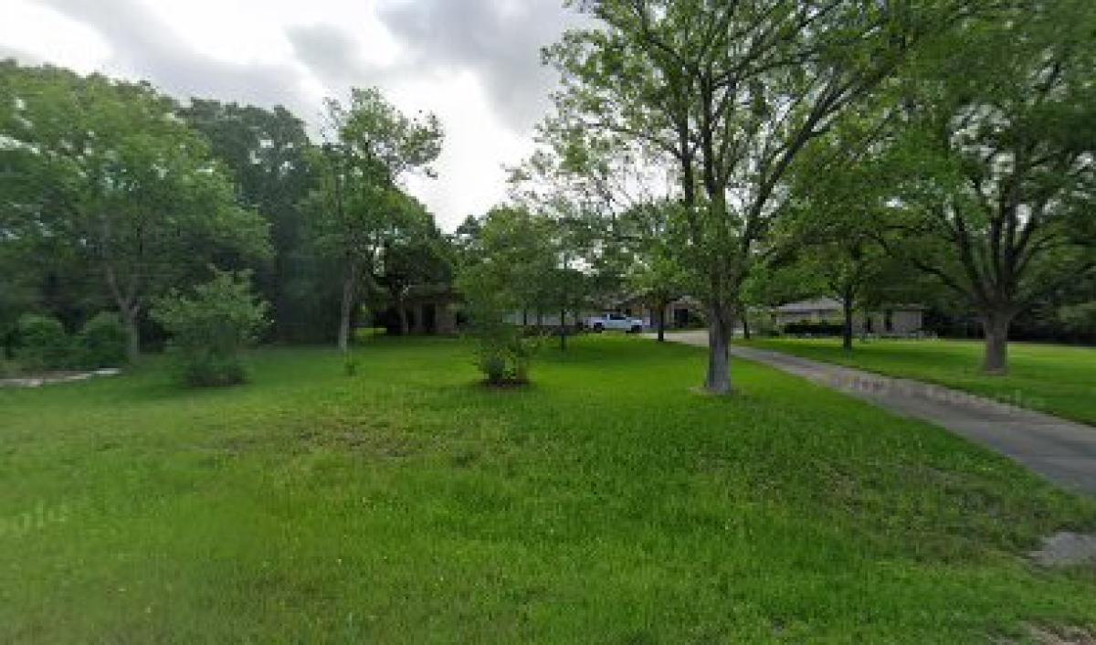 Busy Bee Apiary & Apothecary