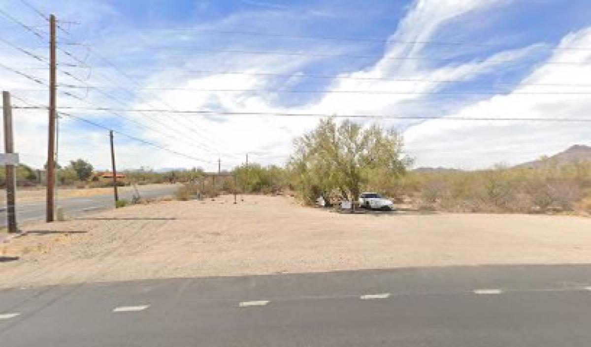 Honey Girl’s Honey