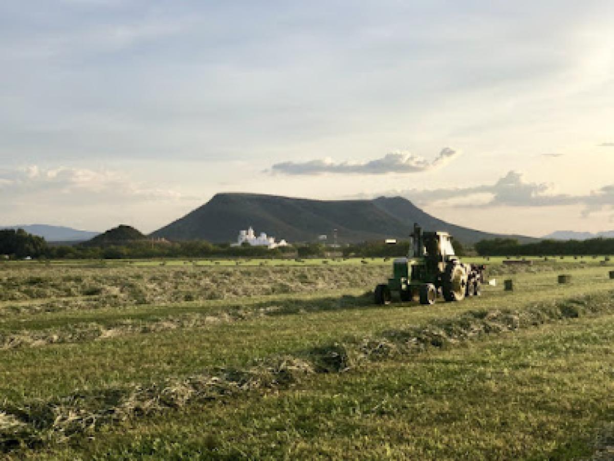 San Xavier Co-Op Farm