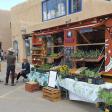 Taos Farmers Market