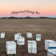 Chaparral Honey, Inc.
