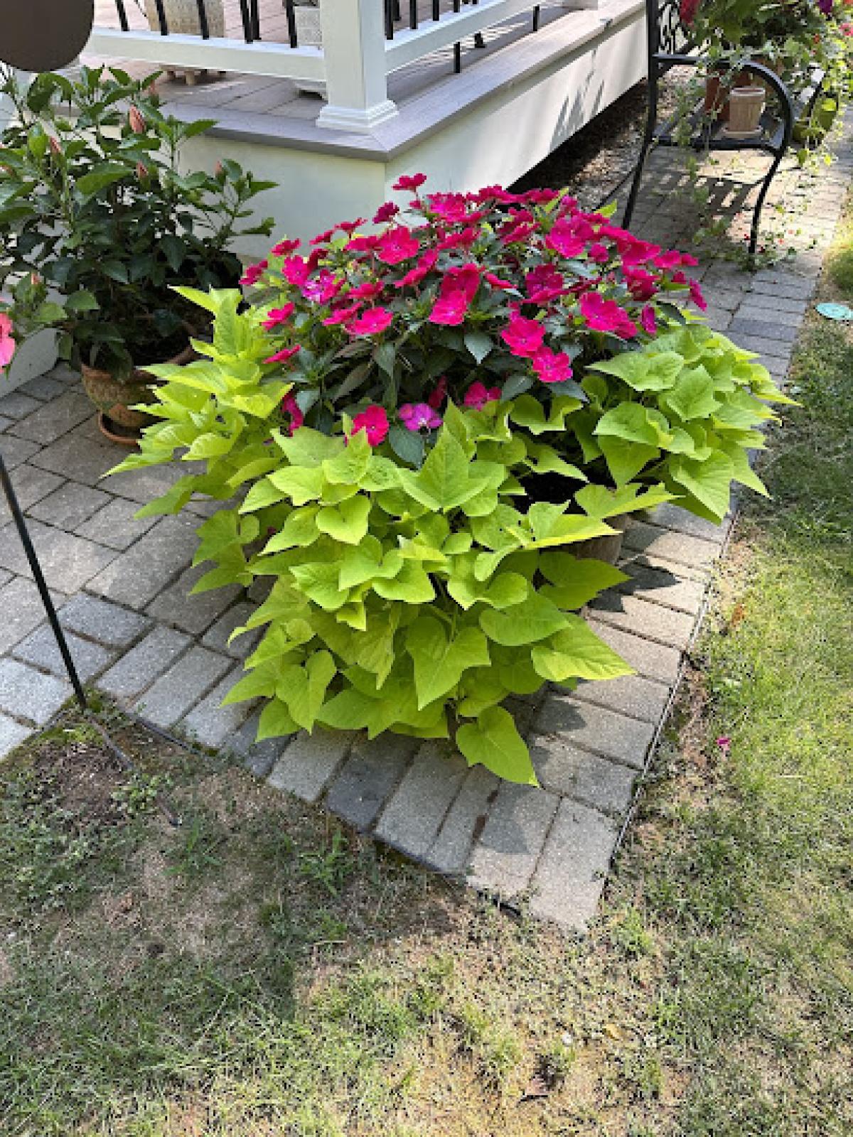 Honey Bee Haven Farm