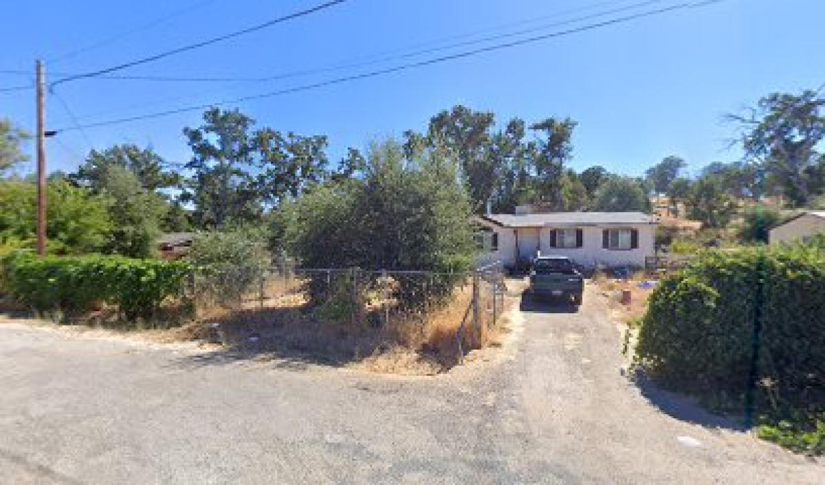 Dollar Mountain Apiaries