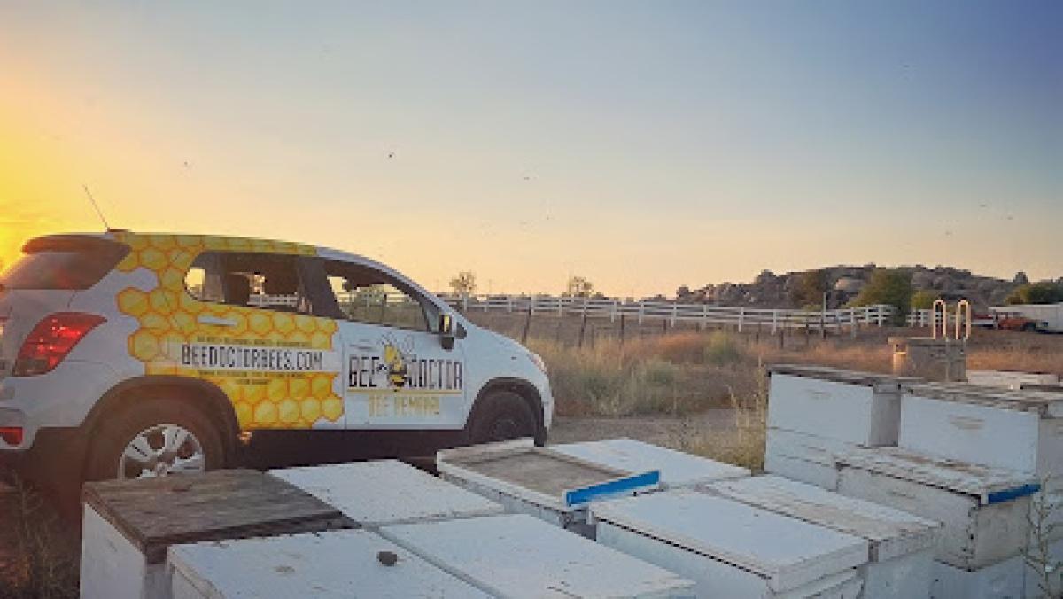BeeDoctor Bee Removal