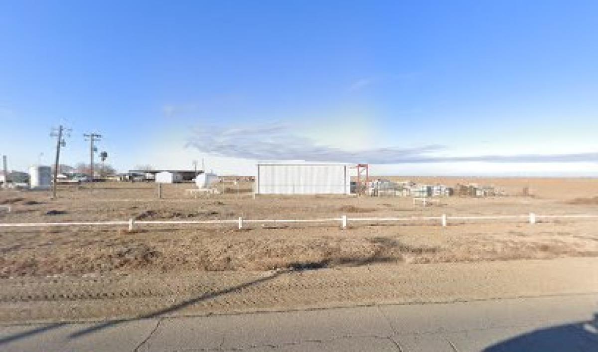 Lankford Honey Farms